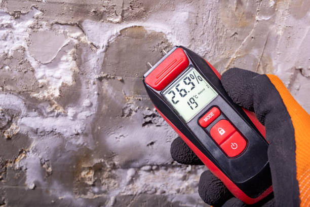 Best Fast Mold Removal  in West Des Moines, IA